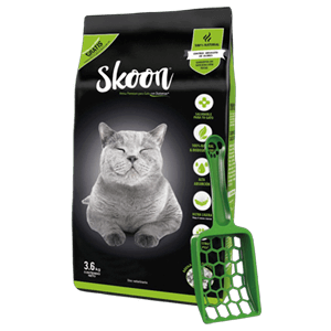 skoon